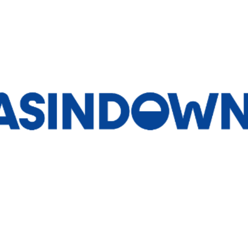 Logo de la entidadASINDOWN
